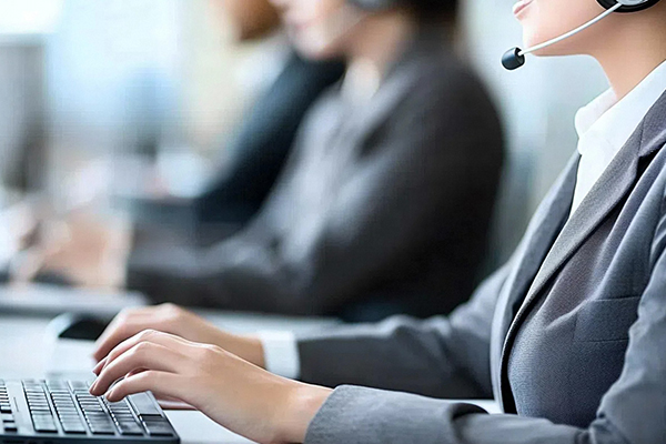 Before-Sales Services